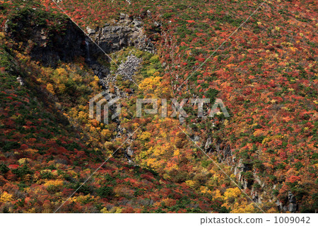 Adatarayama秋葉 1009042