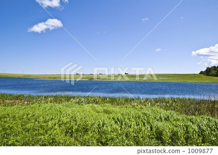 愛德華王子的草地5 1009877