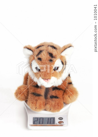 Tiger stuffed animal on a lightweight meter 1010041