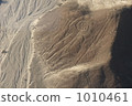 納斯卡風景 1010461