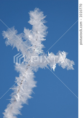 Crystal Crystal 1010770