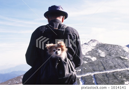 An old man climbing a dog An old man climbing a dog 1014141