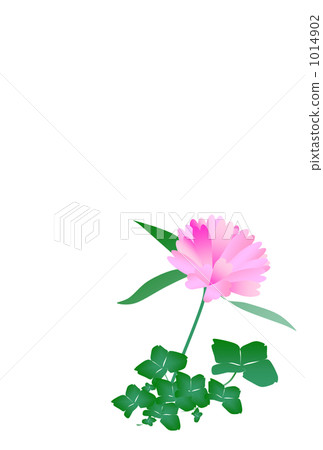 心三葉草（明信片） 1014902