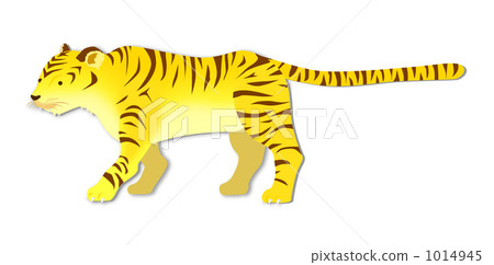 tiger, tigers, chinese zodiac 1014945