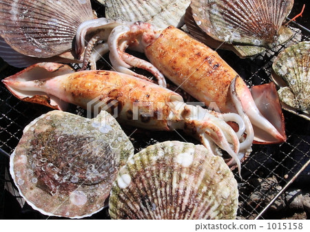 scallop, calamary, cuttlefish 1015158