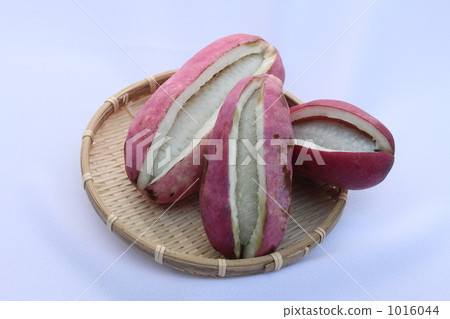 the season of fall, the autumn season, ready eat 1016044