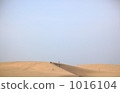 Tottori sand dunes Tottori sand dunes 1016104