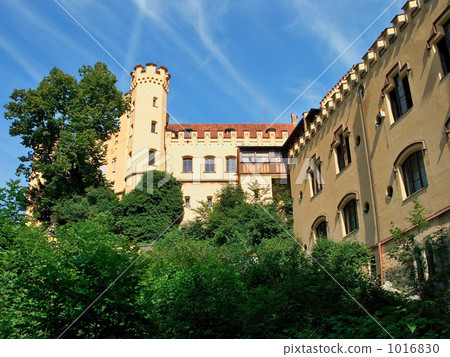 舊天鵝堡 1016830