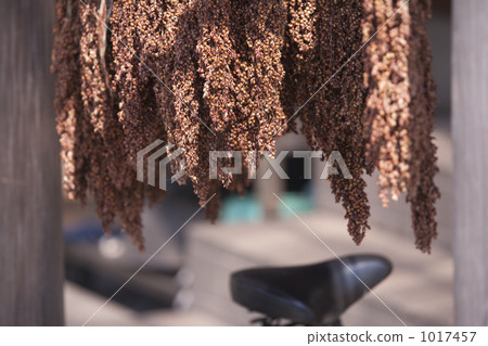 Drive millet Drive millet 1017457