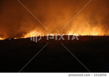 Wakakusa mountain burning Wakakusa mountain burning 1018056