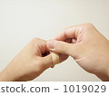 Bandage 1019029