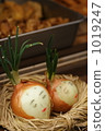 onion, facial, mug 1019247