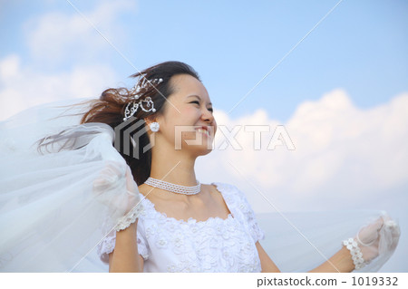 Veil that blows in the wind 1019332