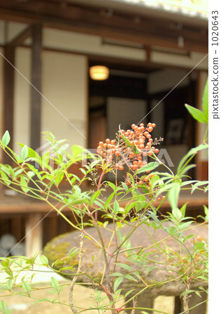 日式房子花園 日式房子花園 1020643
