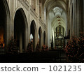 christmas tree, christmas trees, xmas-tree 1021235