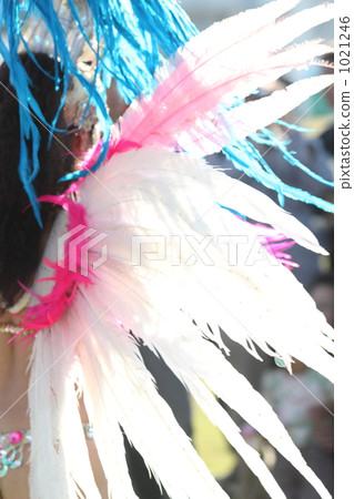 White wings through the sun 1021246