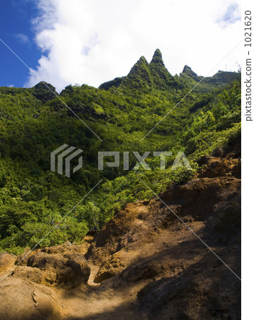 Kalaou Trail on Kauai Island 1021620
