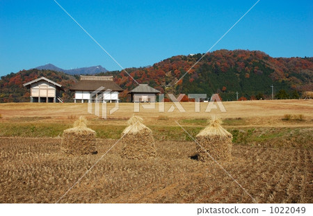 raised floor warehouse, dry rice, national historic spot 1022049