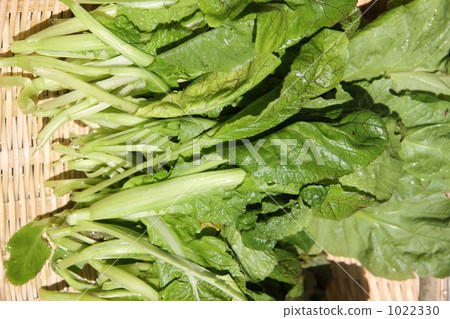 油炸蔬菜 油炸蔬菜 1022330