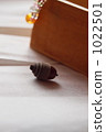 acorn, grain, indoor 1022501