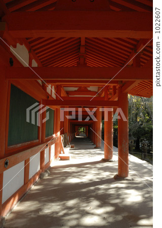 World Heritage Kasuga Taisha World Heritage Kasuga Taisha 1022607