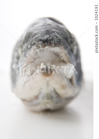 aramaki salmon, salmon, fish 1024191