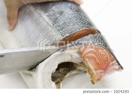 切碎 荒牧鮭魚 三文魚 1024293