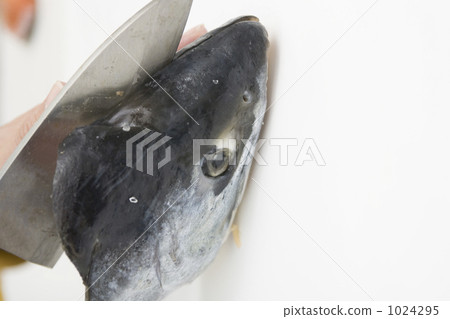 cut up, aramaki salmon, fish 1024295