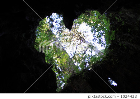 Heart mark born by nature 1024428