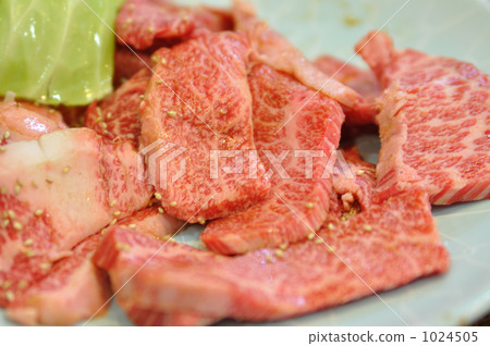 korean bbq ribs, salt-and-pepper, japanese dish of fried meat 1024505