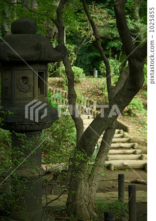 Stone lantern and Japanese garden 1025855