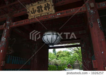 Gokoku-ji的大門 1026257