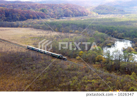 Norocco去釧路沼澤 1026347