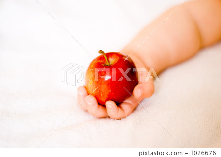 malus prunifolia, hime apples, arm 1026676