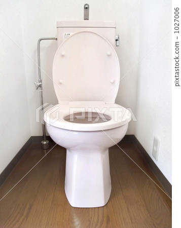 Western style toilet 1027006