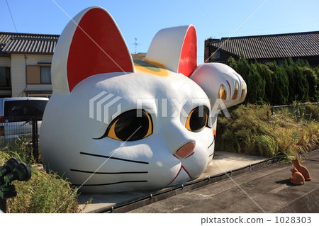 Green cat on catwalk 1028303