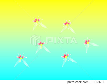 Flower on February 8 Yukinoshita Hanabi Koibito Kamoi's steady affection 1028616