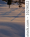雪的晚上風景 1029022