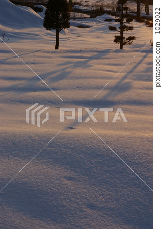 雪的晚上風景 雪的晚上風景 1029022