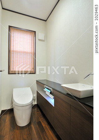Flush toilet 1029463