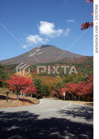 Autumn of the heavenly dressing room (Inawashiro-machi) 1029566