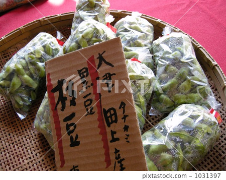 毛豆 綠大豆 秋天 1031397