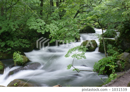 Oirase Stream (Flow of Asura) Oirase Stream (Flow of Asura) 1031539