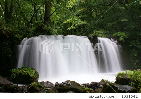 Oirase stream (Choshi Otaki) 1031541