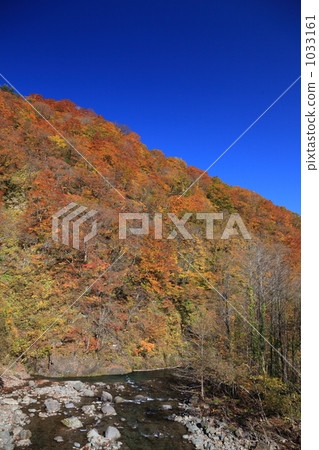 World Natural Heritage Shirakami Mountains World Natural Heritage Shirakami Mountains 1033161