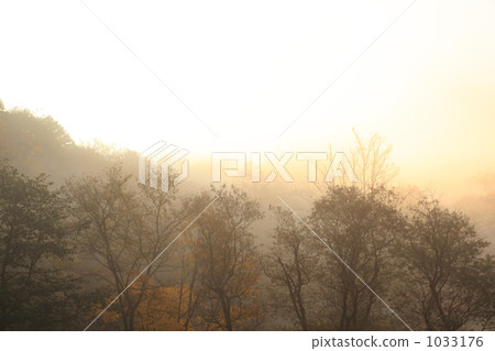 Morning 1033176