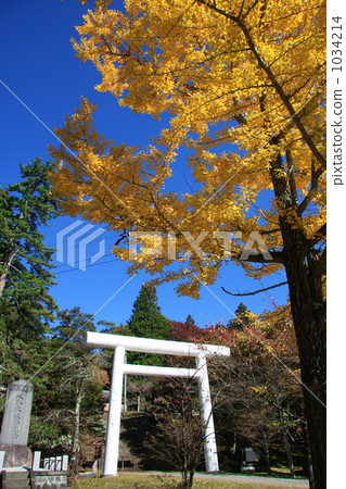 土浦神社(豬苗代町)的秋天 土浦神社(豬苗代町)的秋天 1034214