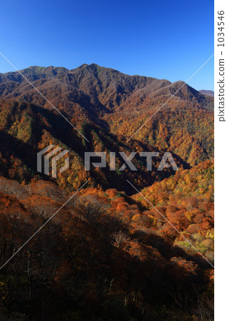 “太和峰” - 世界自然遺產白神山 1034546