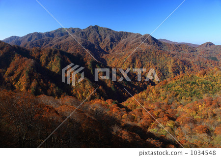 世界自然遺產白神山 1034548