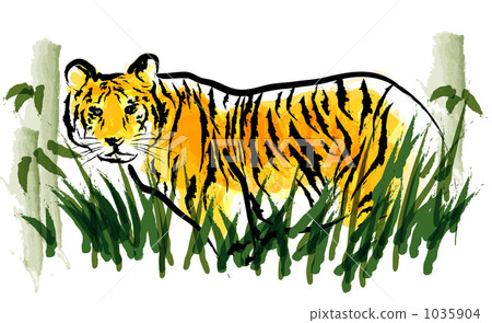 老虎在草叢中 1035904